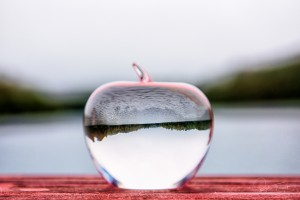 La pomme est dans le ver(re)